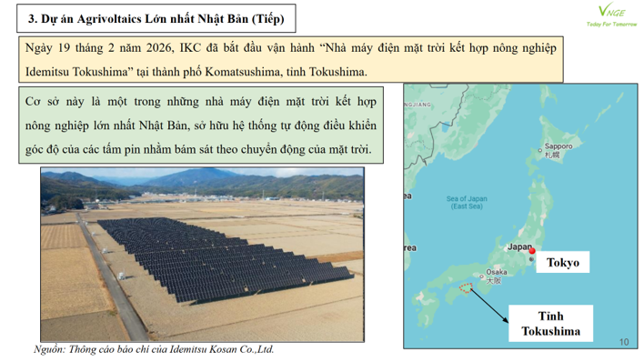 Dự án Nhà máy Điện Mặt trời kết hợp Nông nghiệp (Agrivoltaics) Lớn nhất Nhật Bản Bắt đầu Hoạt động 