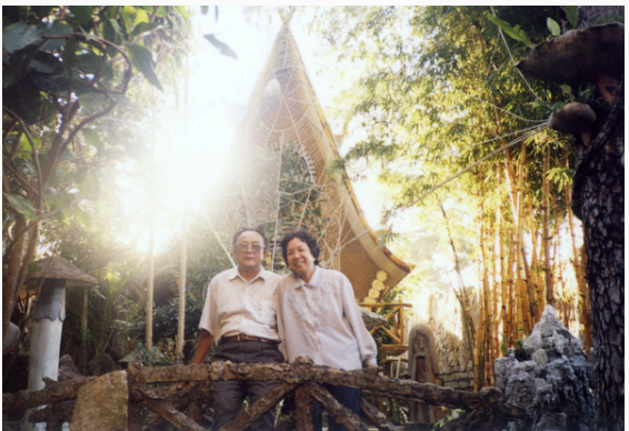 After 11 Summers <br> Nguyen Quang Bach